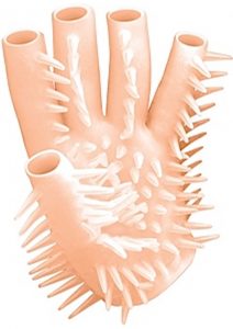 Masturbating Glove Waterproof Flesh