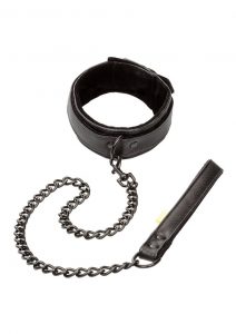 Boundless Collar andamp; Leash - Black