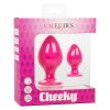 Cheeky Silicone Textured Anal Plugs Large/Small (Set of 2) - Pink