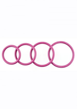 Rubber O-Ring Assorted Sizes (4 pack) - Plum