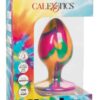 Cheeky Tie-Dye Silicone Plug Large - Multicolor