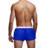 Prowler Swim Trunk - Medium - Blue