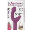 Mystique Vibrating Massagers Rechargeable Silicone G-Spot Vibrator - Eggplant