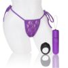 Screaming O My Secret Remote 4T Panty Vibe - Grape