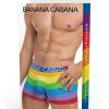 Banana Cabana Trunks - Large/XLarge - Rainbow