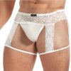 Lace King Men`s Lace and Mesh Garter Panty - L/XL - White