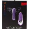 Nu Sensuelle Pleasure Panty Wireless Remote Control Silicone USB Rechargeable Bullet Waterproof Purple - Image 2