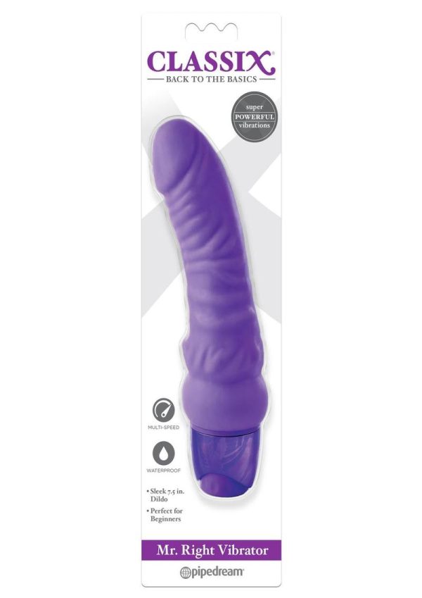 Mr Right Vibrator Purple Waterproof Multi Speed - Image 2