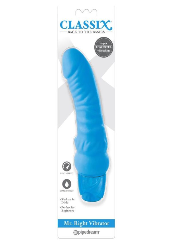 Mr Right Vibrator Blue Waterproof Multi Speed - Image 2