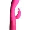 Frisky Rebel Rabbit 21X Rabbit Vibrator - Pink