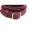 and Leash (6 piece) - Burgundy