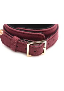 and Leash (6 piece) - Burgundy