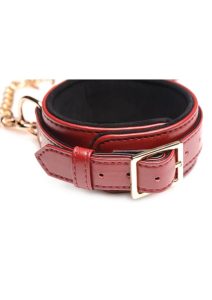 and Leash (6 piece) - Burgundy