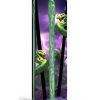 Creature Cocks Slither Silicone Dildo - Green/Yellow