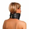 Master Series Hard Stance Padded Lock Posture Collar - Black - Image 4