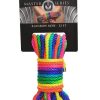Master Series Bondage Rope 32ft - Rainbow