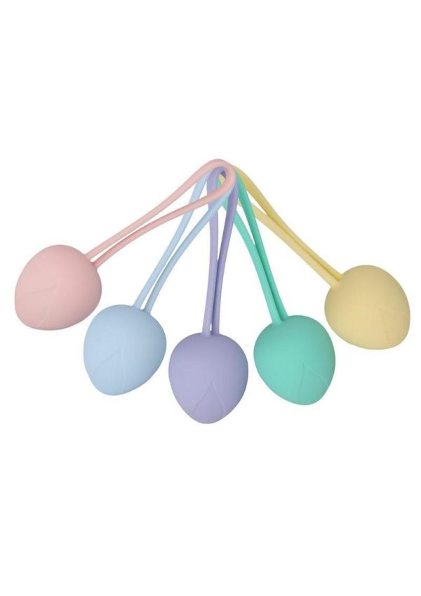 Loveline PelviFit Berry Multiweight Kegel Kit - Multicolor - Image 3