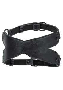 Nocturnal Collection X-Mask - Black