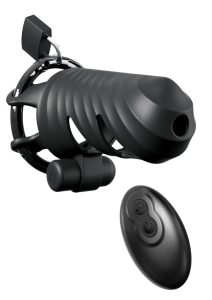 Fantasy C-Ringz Remote-Controlled Vibrating Cock Blocker - Black