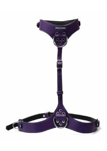 Punishment Body Harness - Purple/Silver