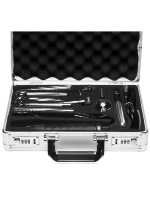 Zeus Electrosex Ultimate Edition Violet Wand Set - Silver