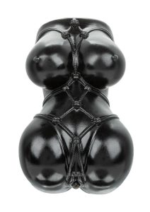 ANIME Stroker Misty Pussy - Chocolate