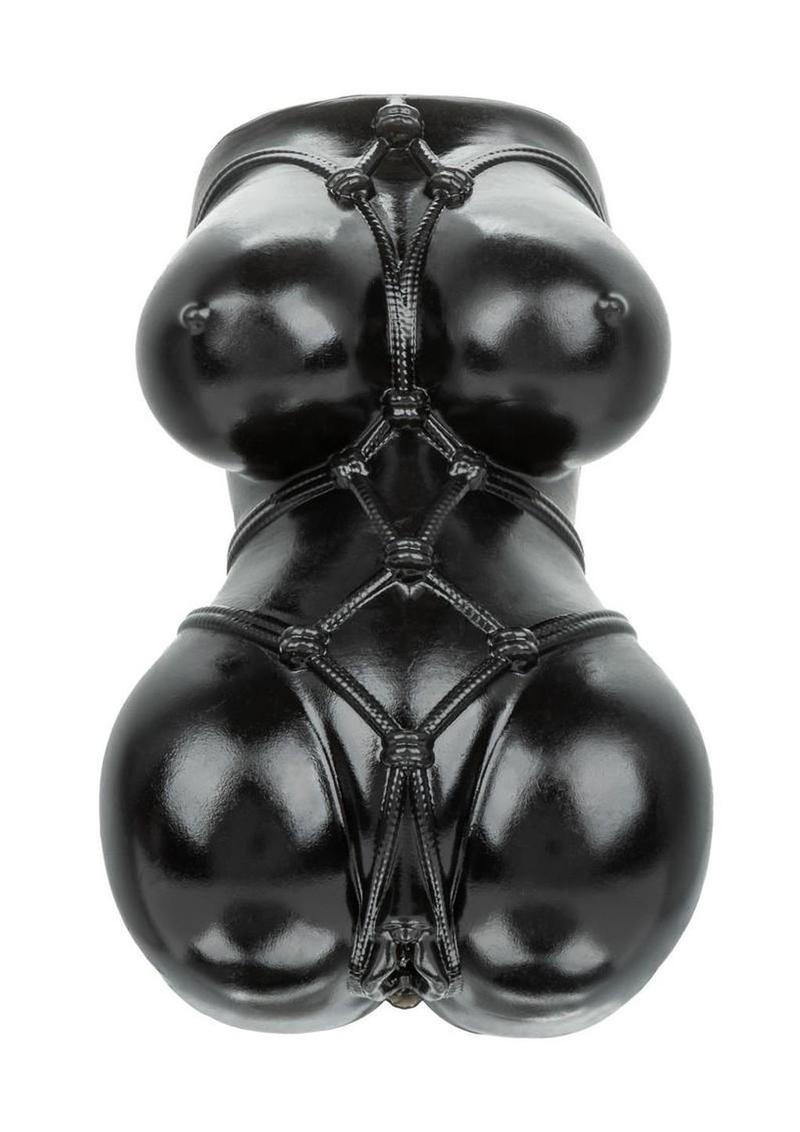 ANIME Stroker Misty Pussy - Chocolate