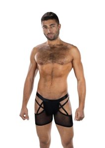 Envy Menswear X Appeal Mesh Boxer Briefs - OS - Black