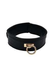 Leather Plain Collar with Gold Accessories - Black/Gold