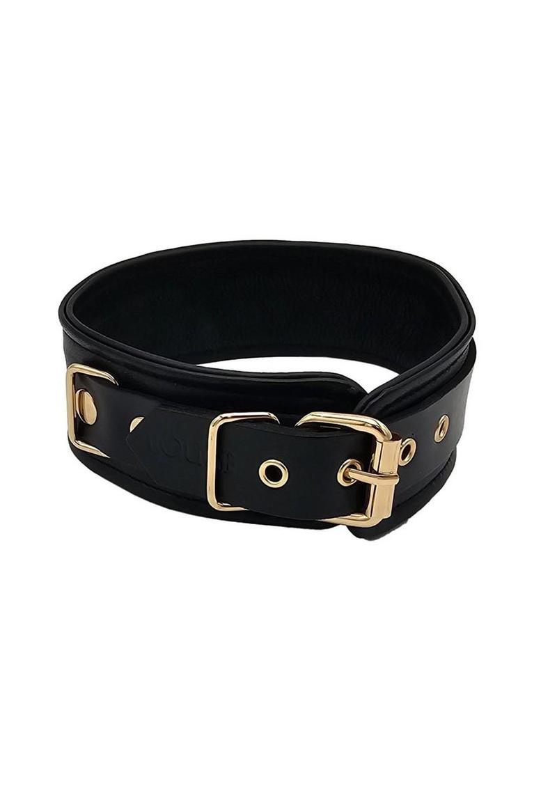 Leather Plain Collar with Gold Accessories - Black/Gold - Image 3