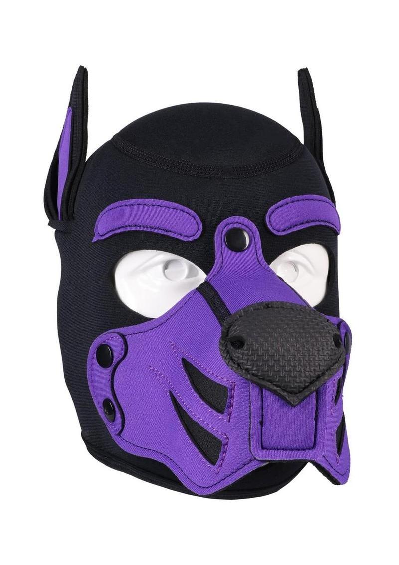 Merci Neoprene Puppy Hood - Purple/Black